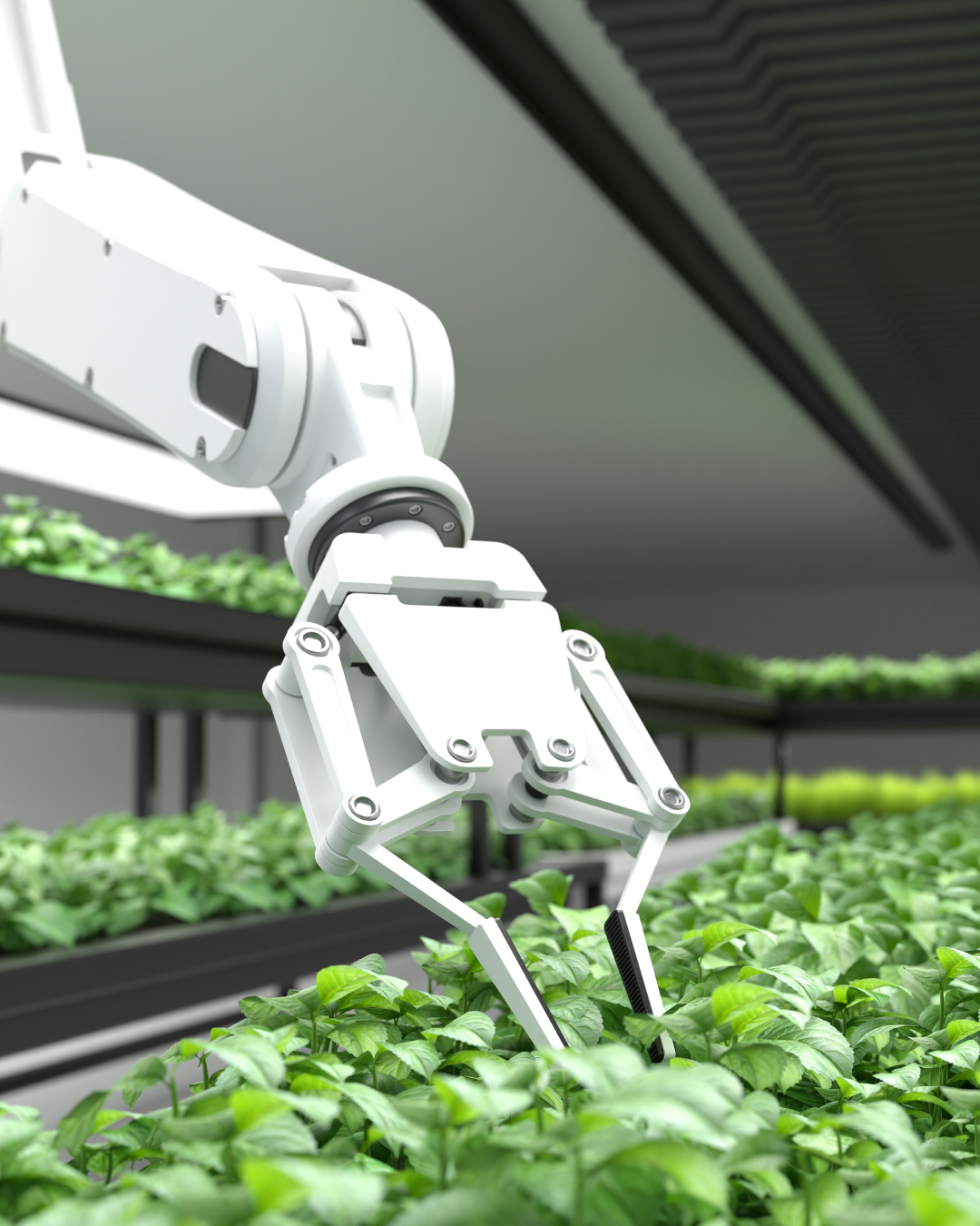 Impactful Group of Companies